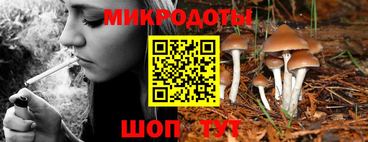 Галлюциногенные грибы Cubensis Реутов