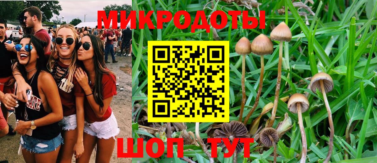 Псилоцибиновые грибы MAGIC MUSHROOMS  Вход с VPN  Реутов 